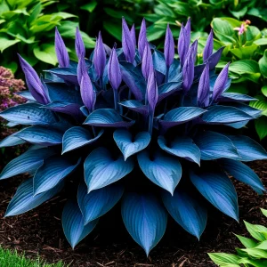 Хоста Сикрет Гров купить по цене от 570р. в интернет-магазине «Посадика» с доставкой почтой в в Дмитриеве и по всей России – [изображение №1].